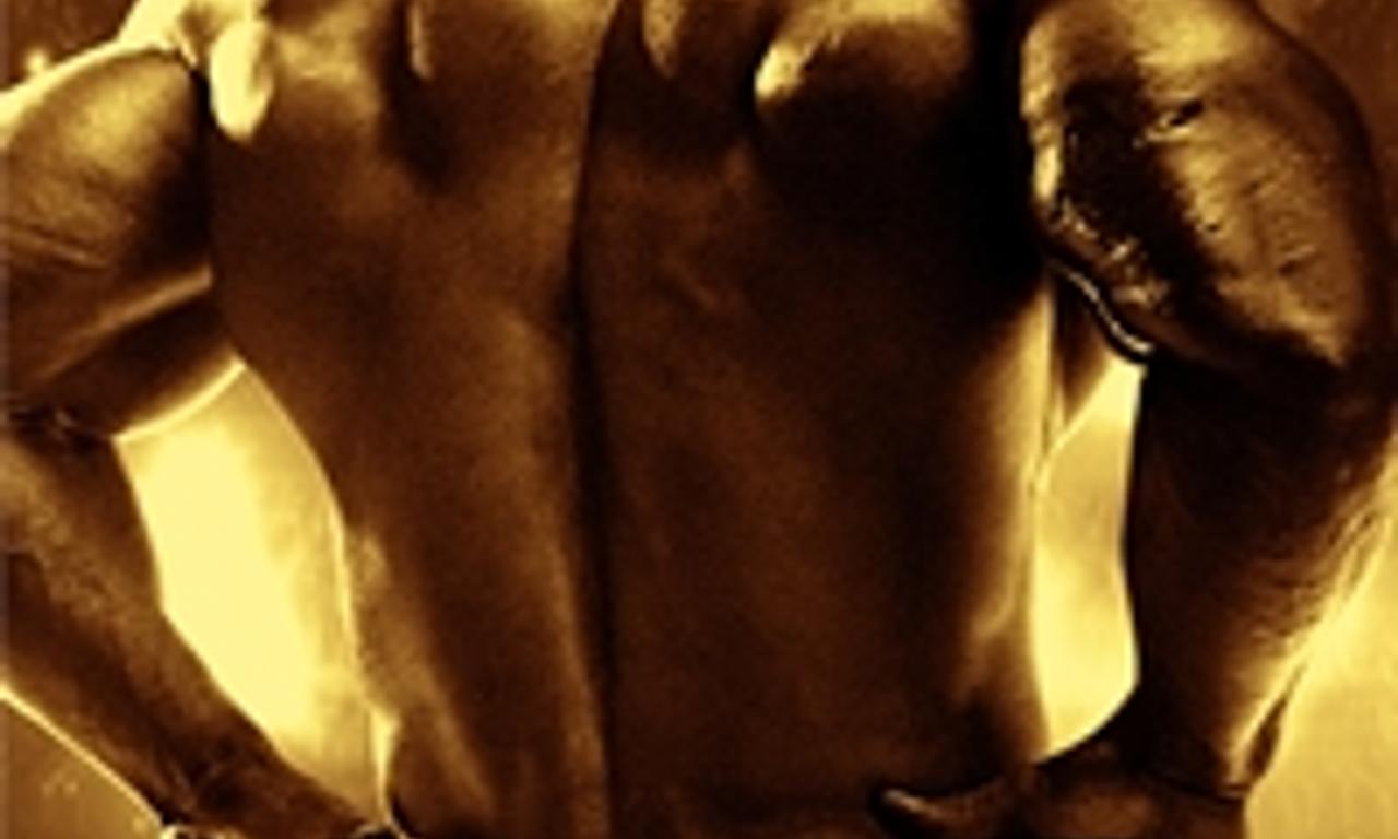 header image for Generation Iron