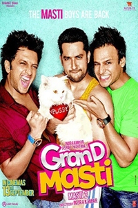 Watch Grand Masti (2013) Full Movie Online - Plex
