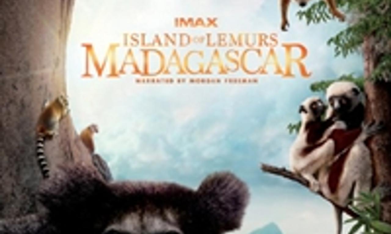 header image for Island of Lemurs: Madagascar