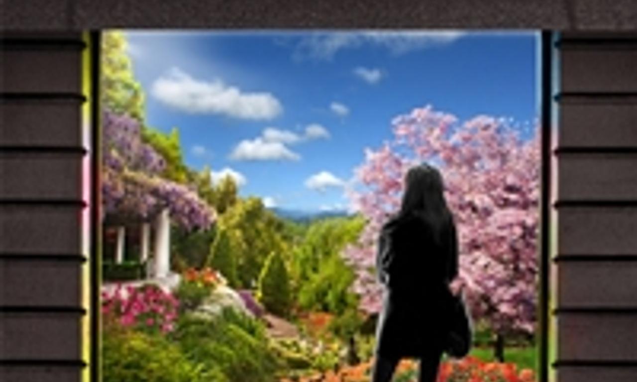 header image for Finding Happiness