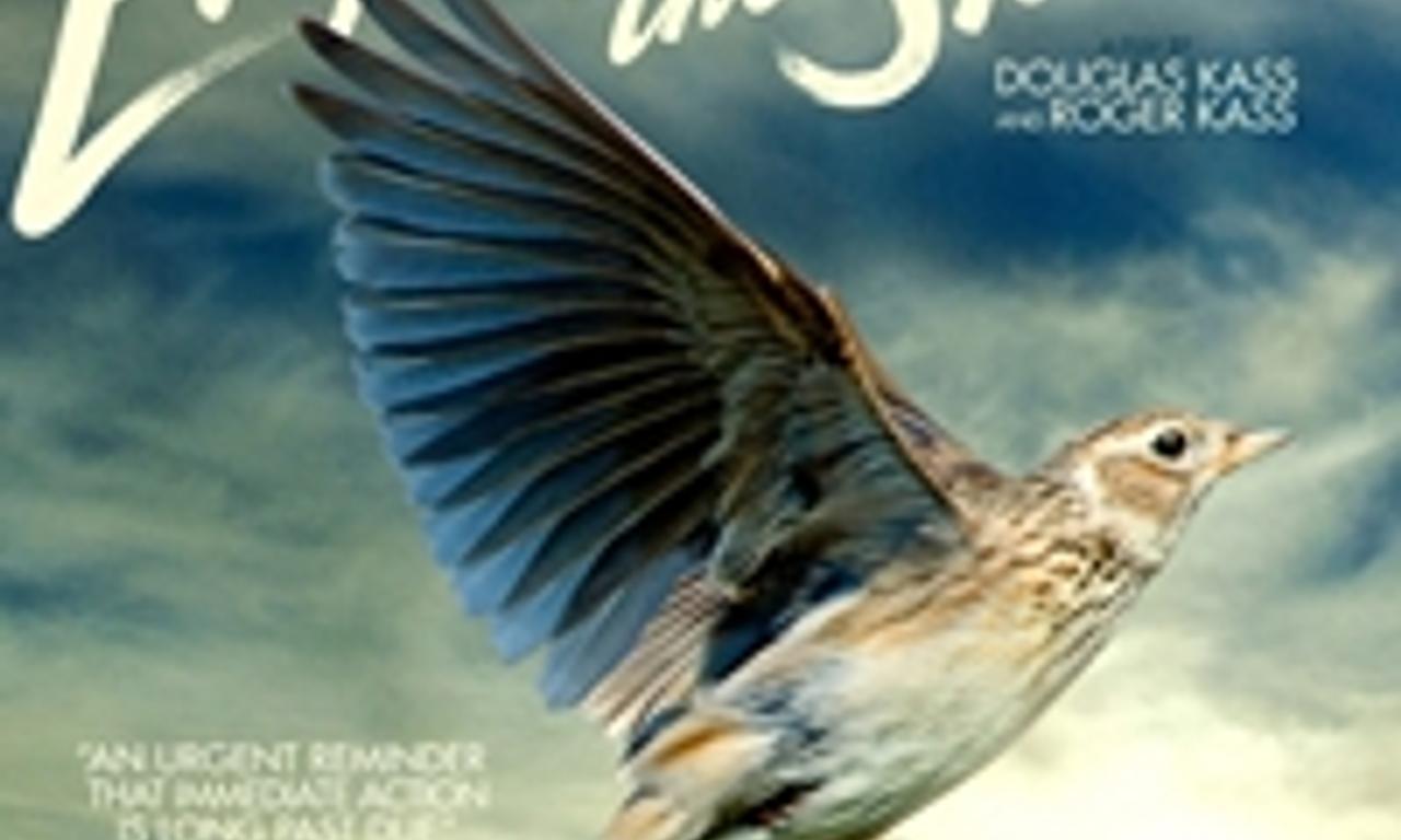 header image for Emptying the Skies