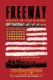 Freeway: Crack in the System