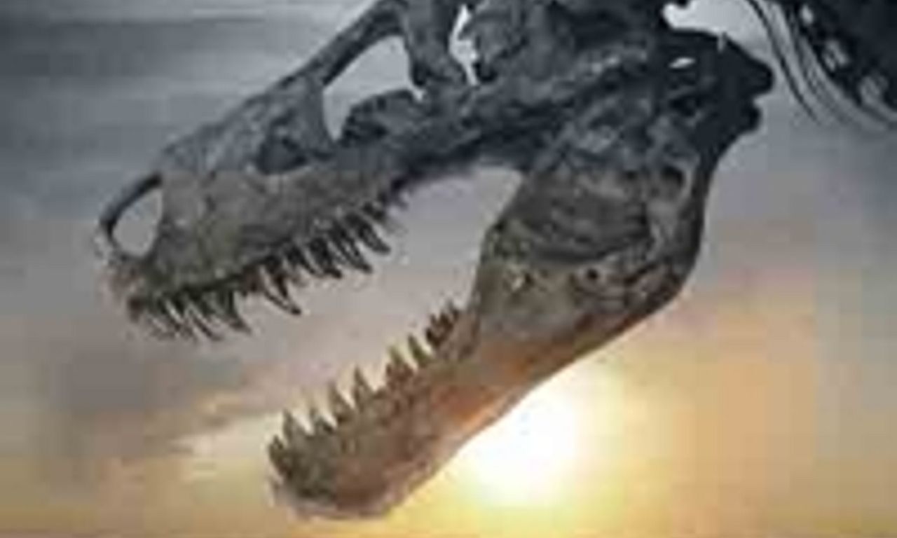 header image for Dinosaur 13