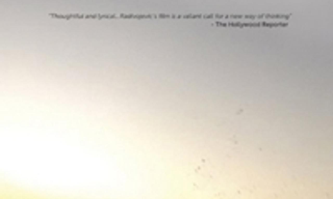 header image for Evaporating Borders