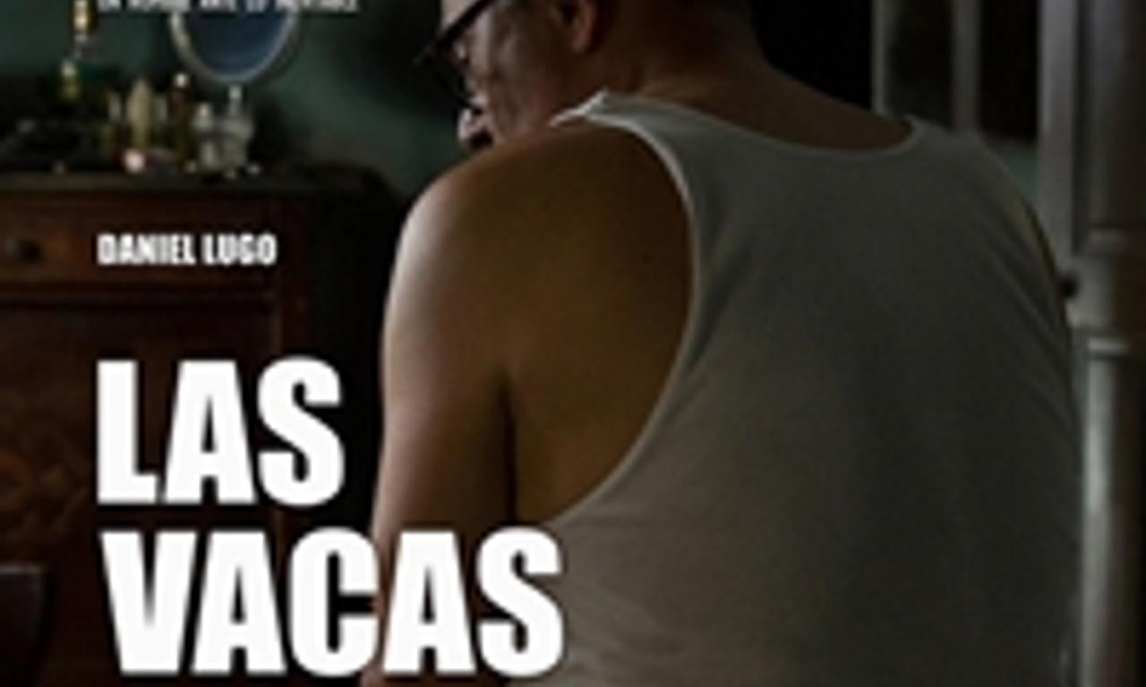 header image for Cows Wearing Glasses