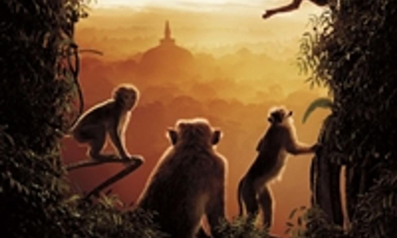 header image for Monkey Kingdom