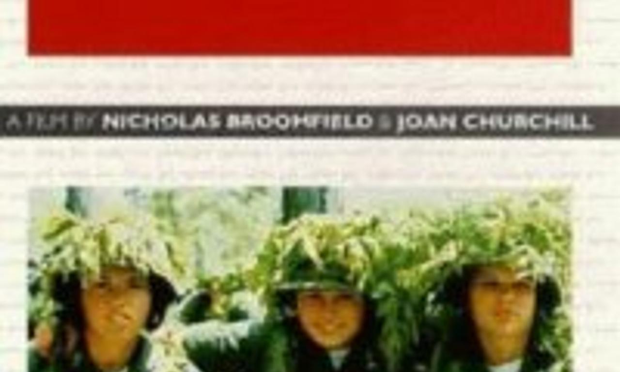 header image for Soldier Girls