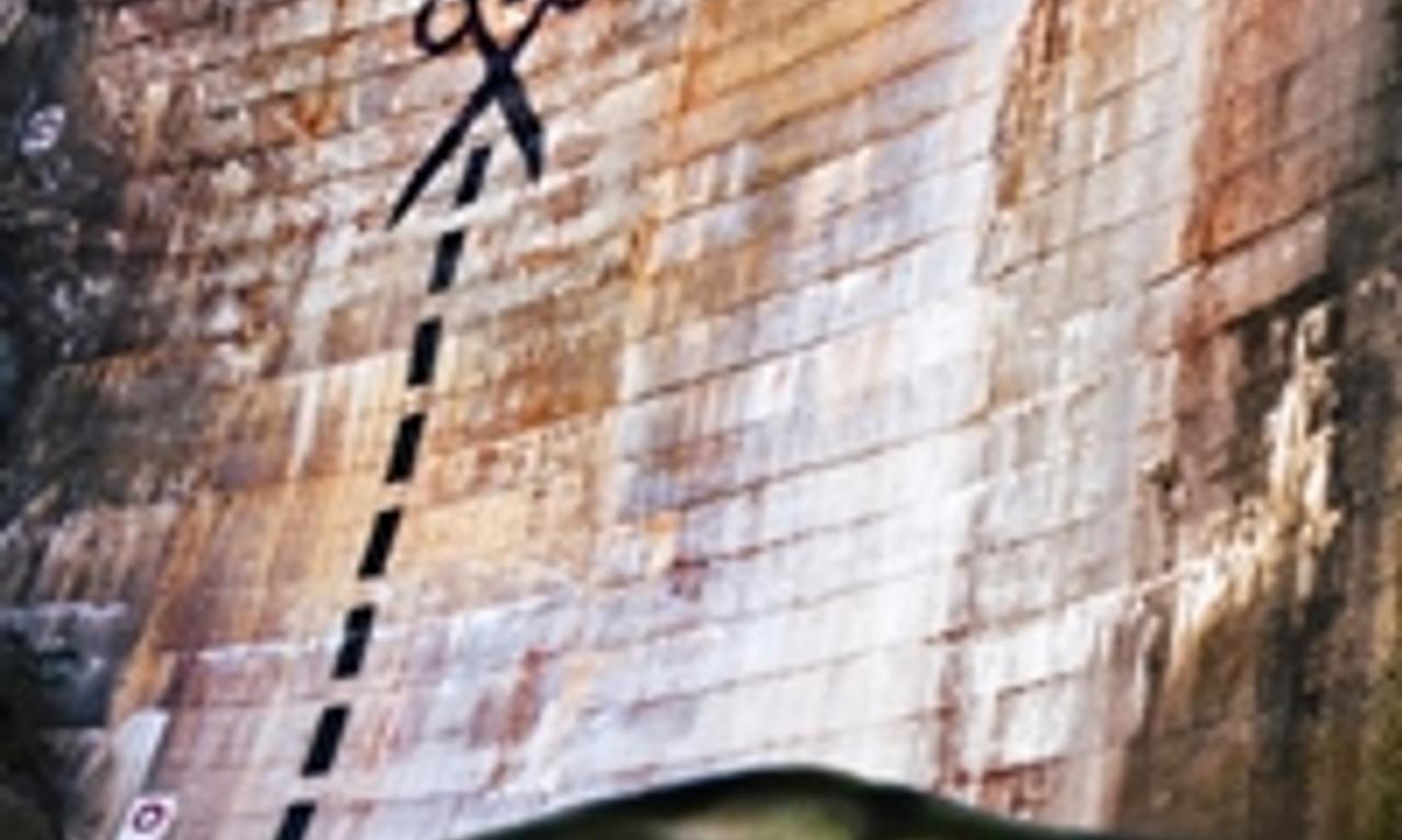 header image for DamNation