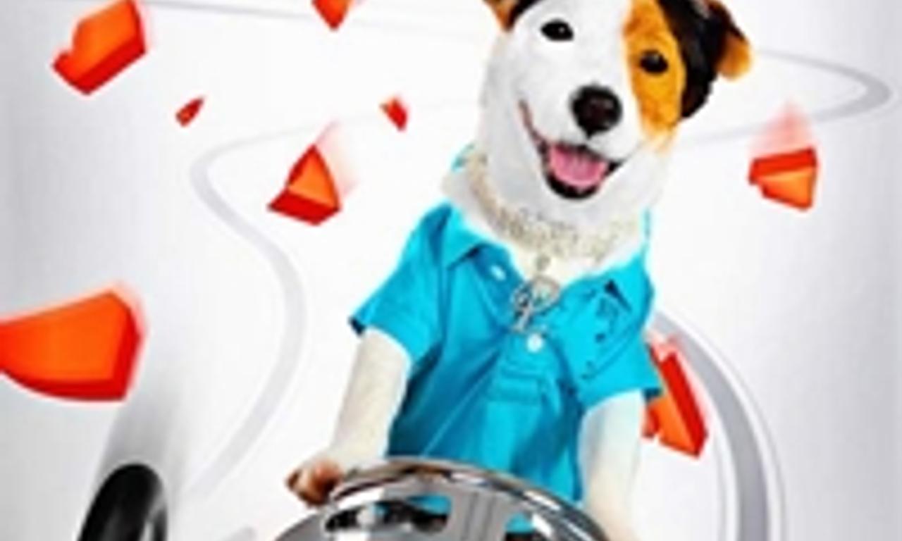 header image for Millionaire Dog