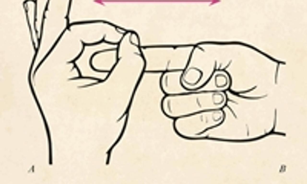 header image for The Little Death