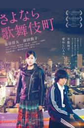 Kabukicho Love Hotel