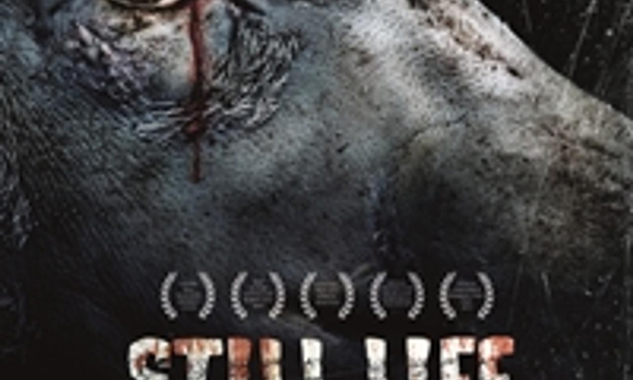 header image for Still Life