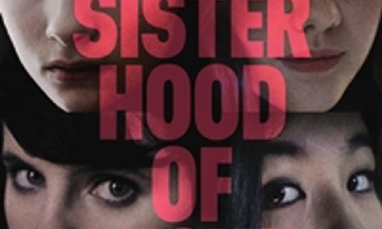 header image for The Sisterhood of Night