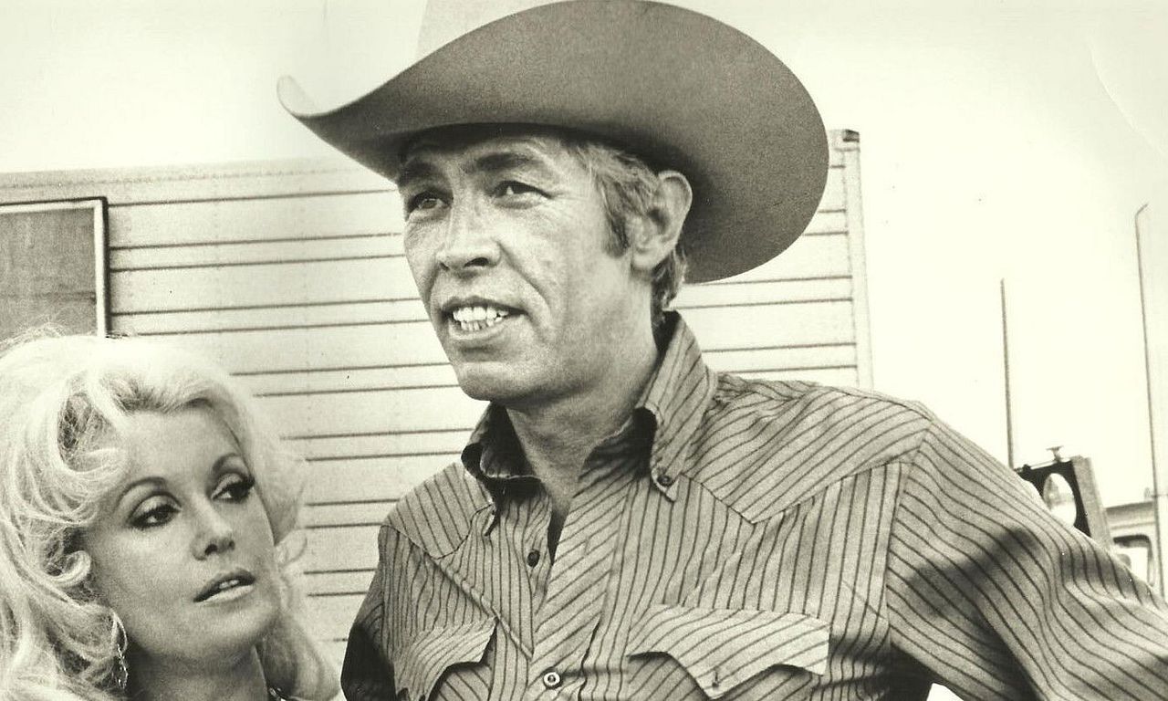 header image for The Honkers