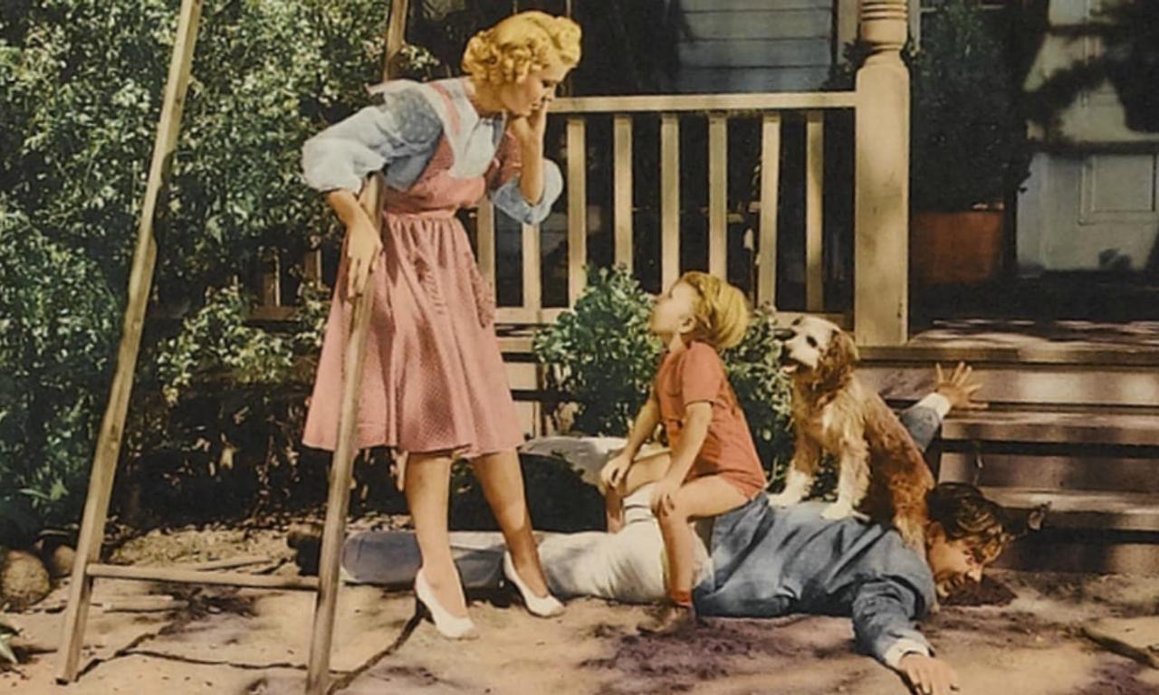 header image for Blondie Plays Cupid