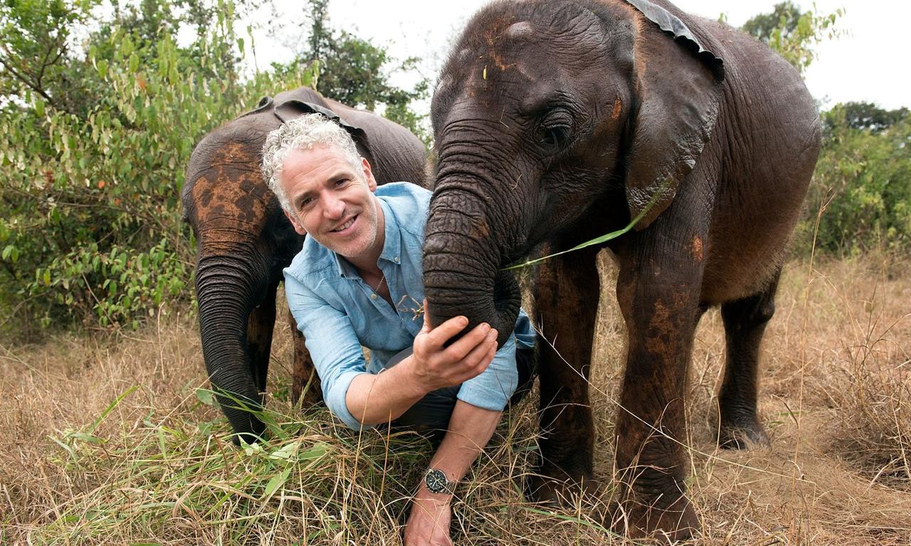 header image for Gordon Buchanan: Elephant Family & Me