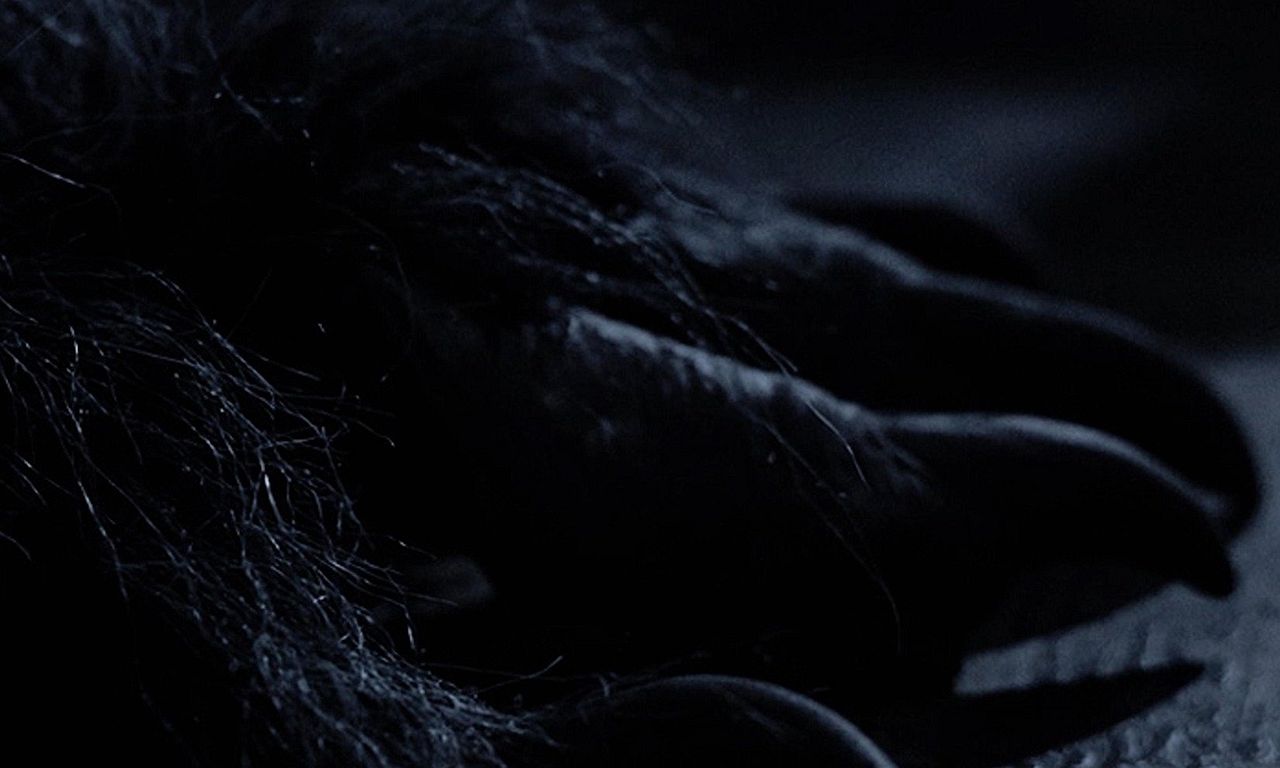 header image for Full Moon Fever