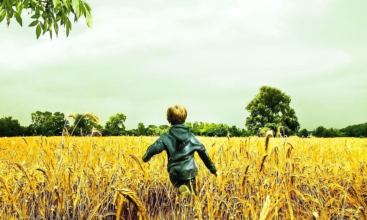 header image for Fireflies in the Garden