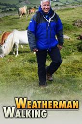 Weatherman Walking