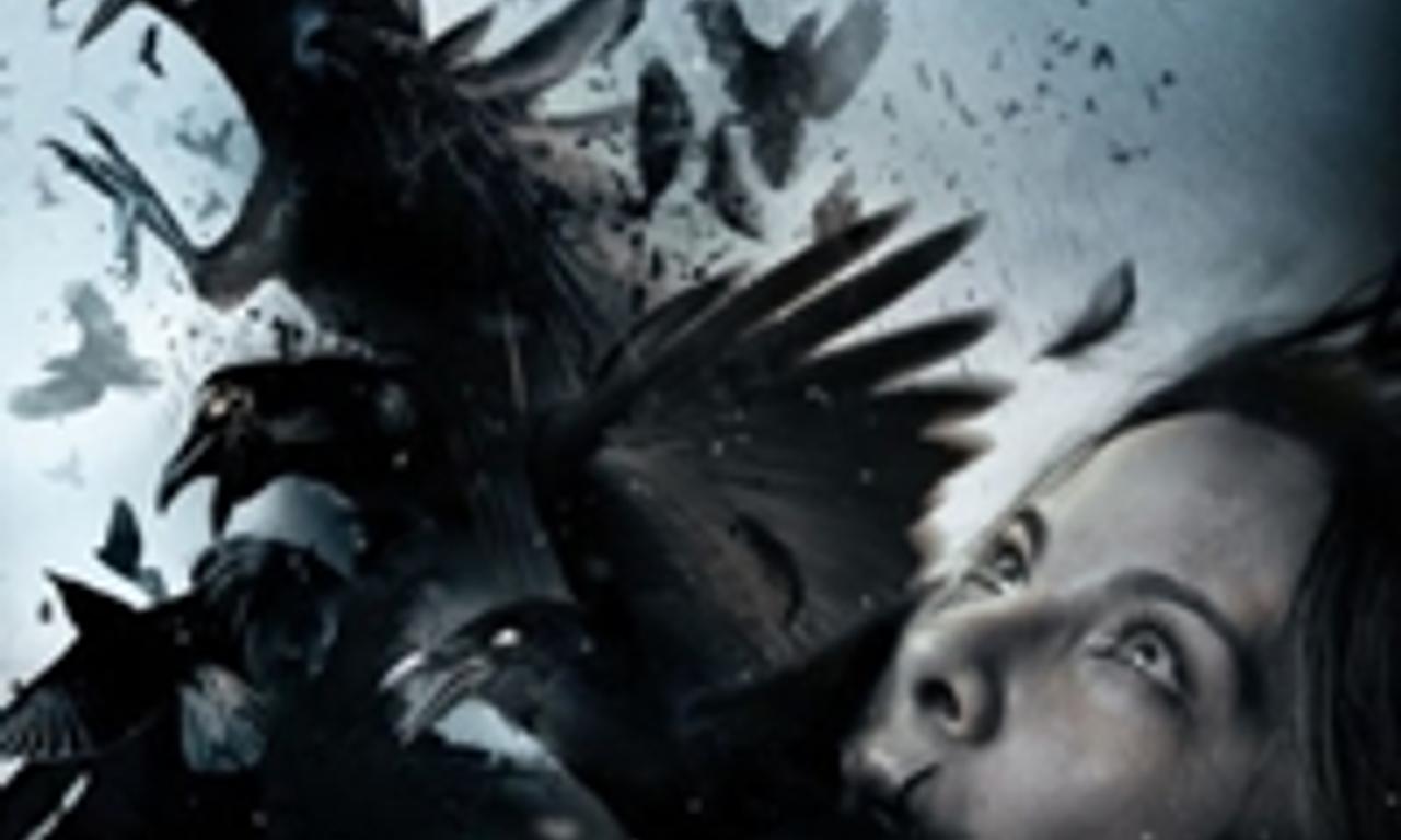 header image for Visitors