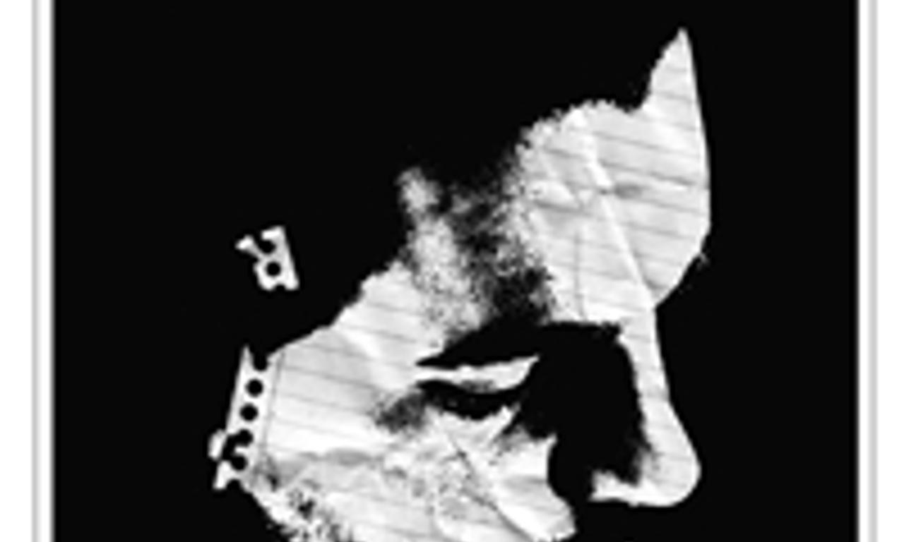 header image for James White