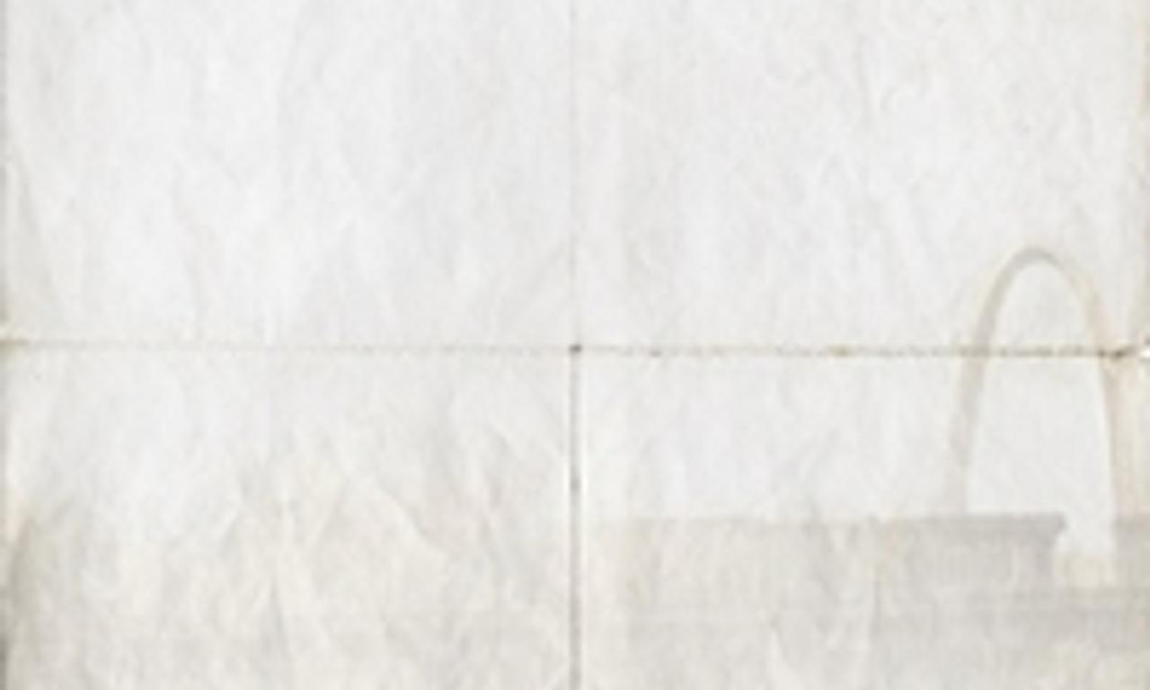 header image for Cronies