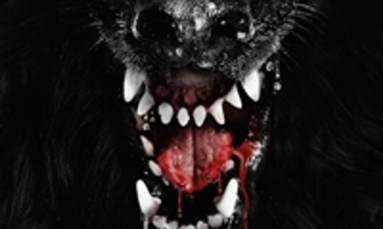 header image for The Pack