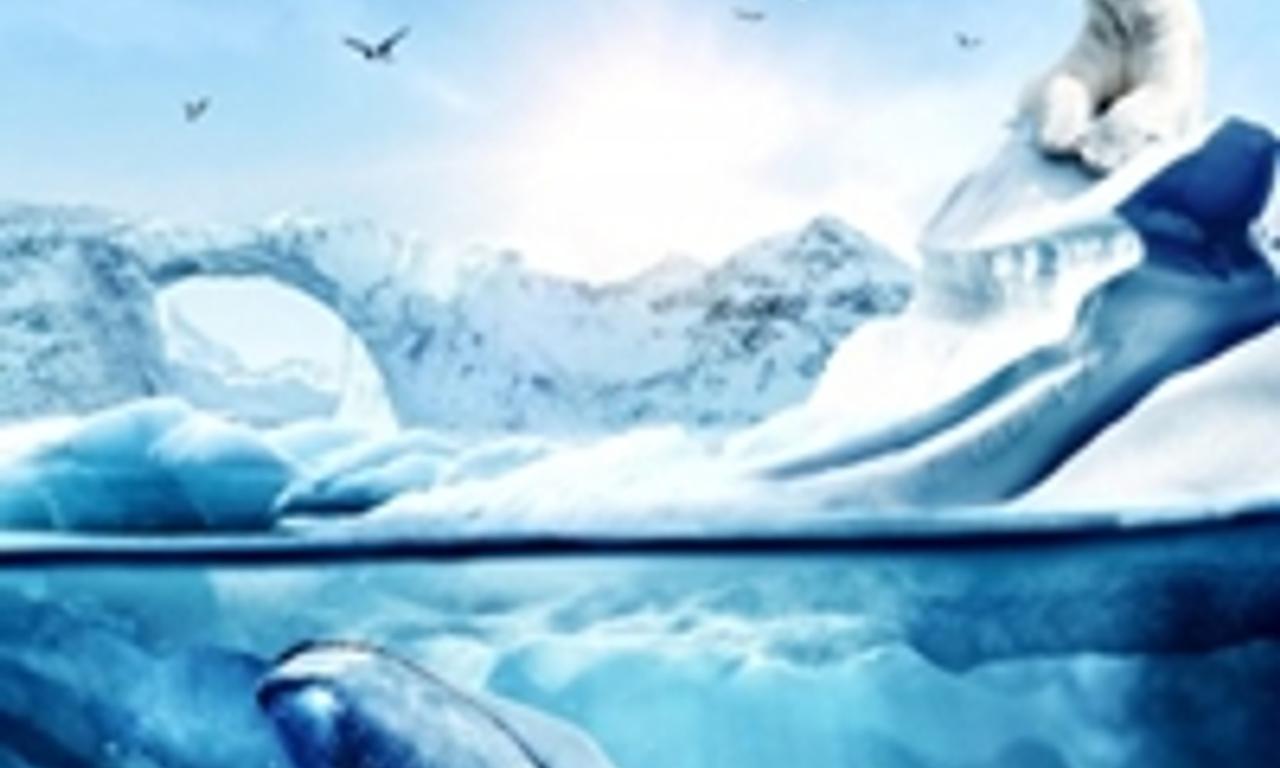 header image for Wonders of the Arctic