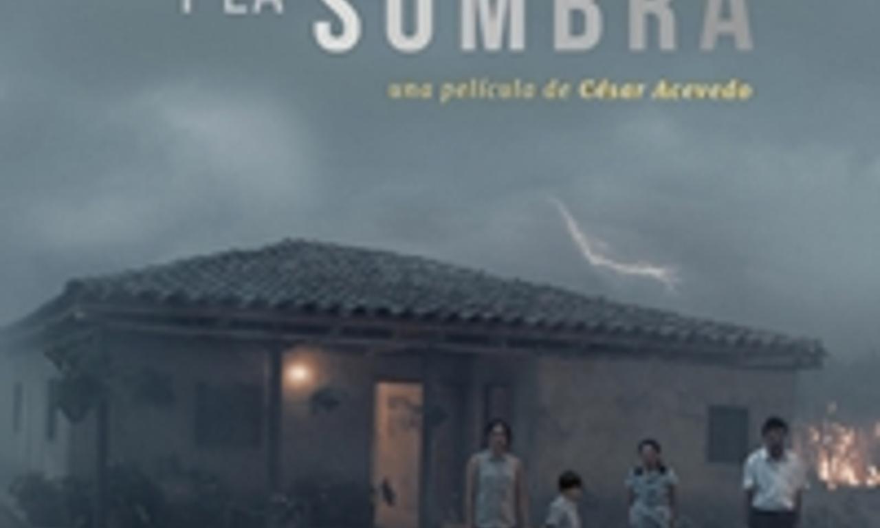 header image for Land and Shade