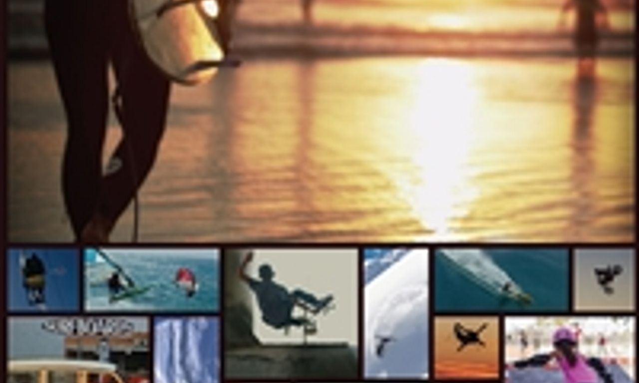 header image for The Search for Freedom