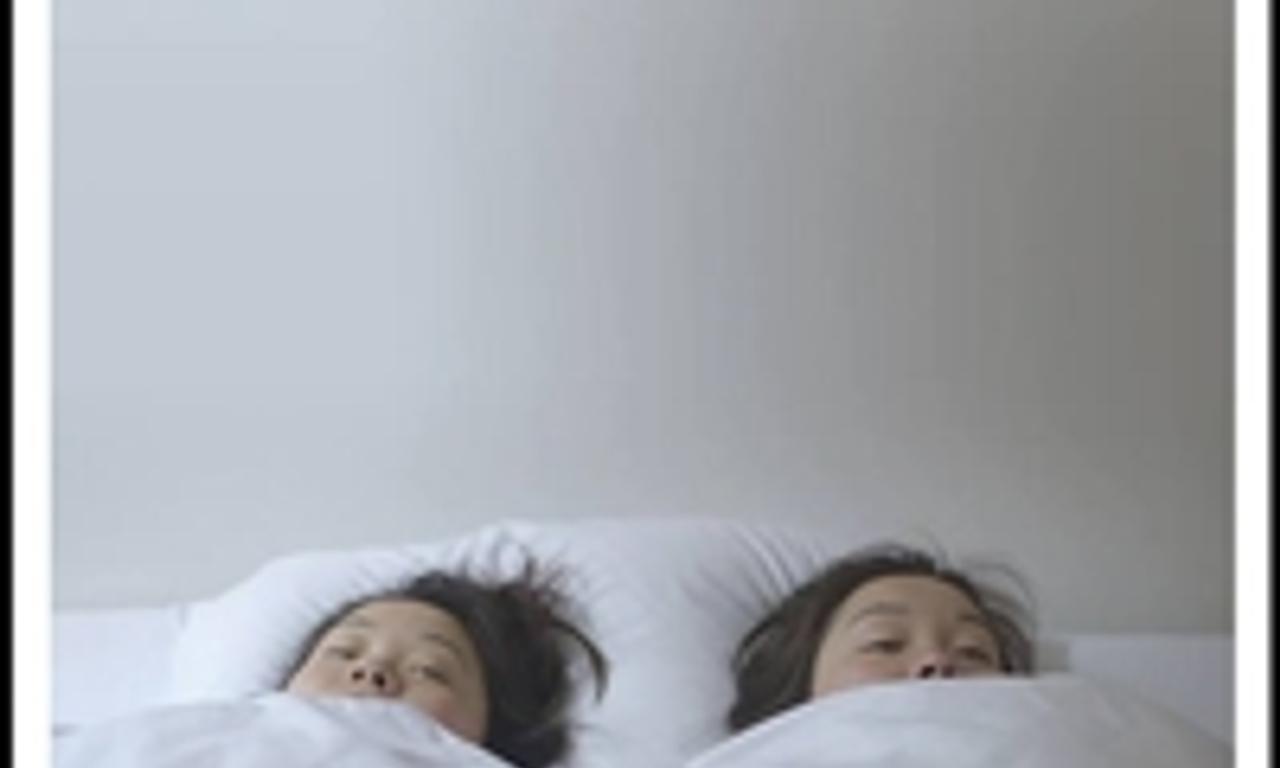 header image for Twinsters