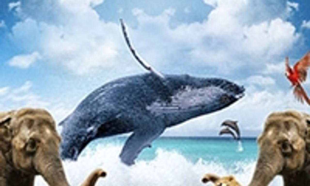 header image for Symphony of the Wild