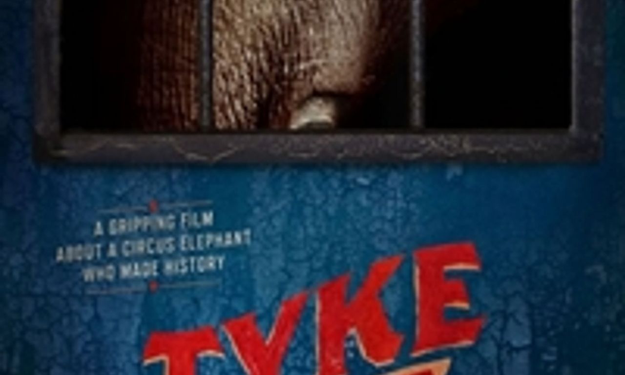 header image for Tyke Elephant Outlaw