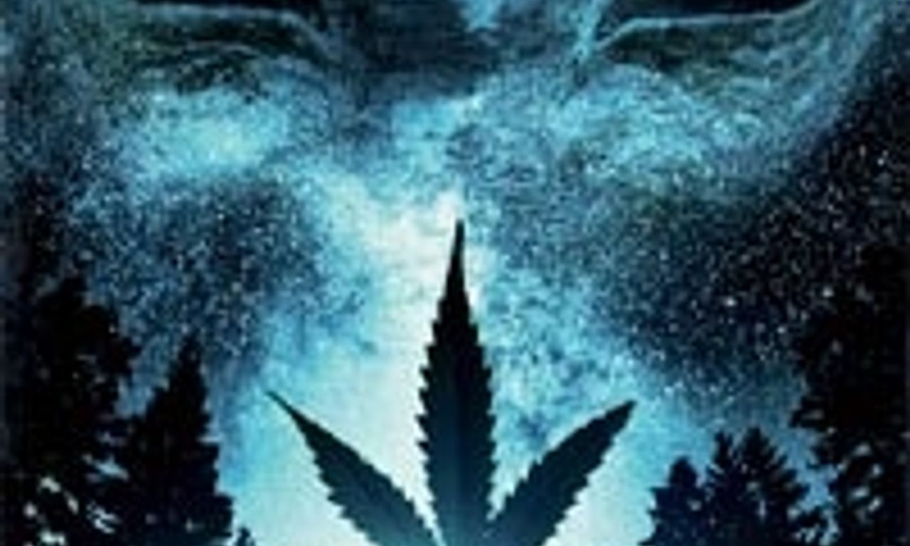 header image for Star Leaf