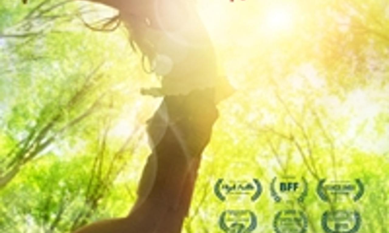 Jack of the Red Hearts - Where to Watch and Stream Online