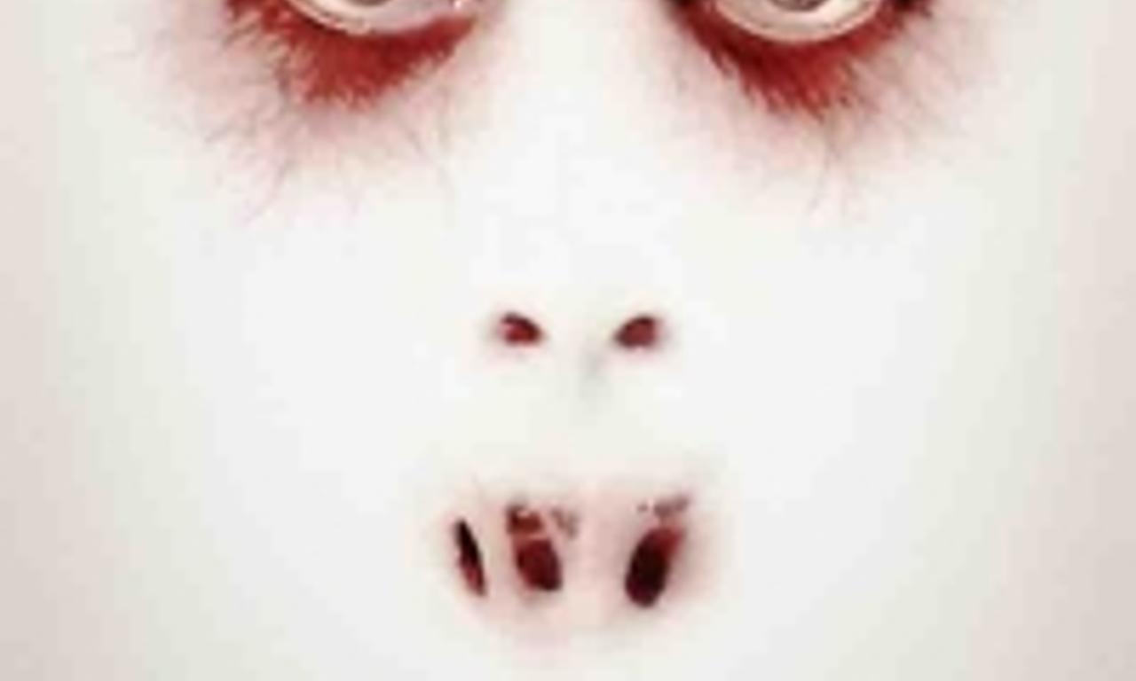 header image for The Chosen