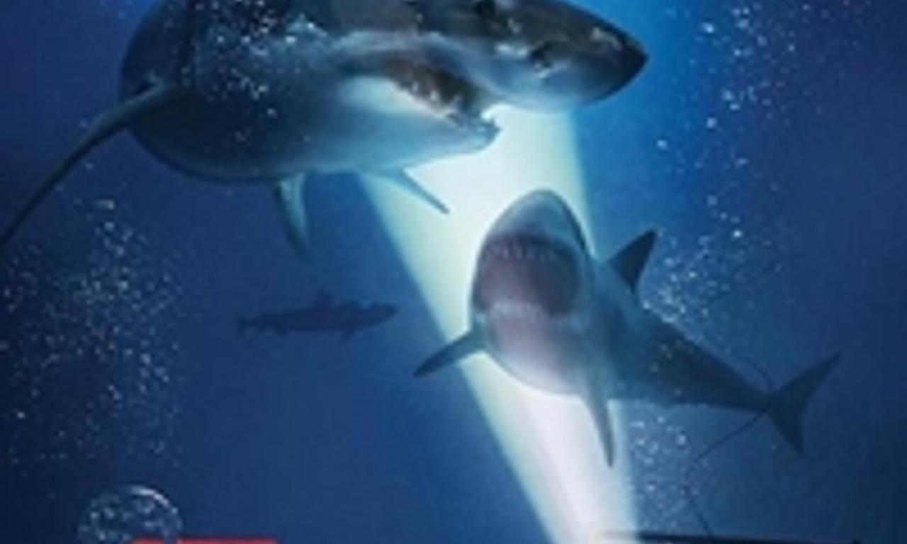 header image for 47 Metres Down