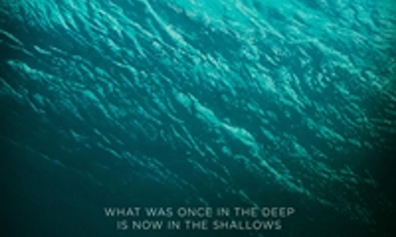 header image for The Shallows