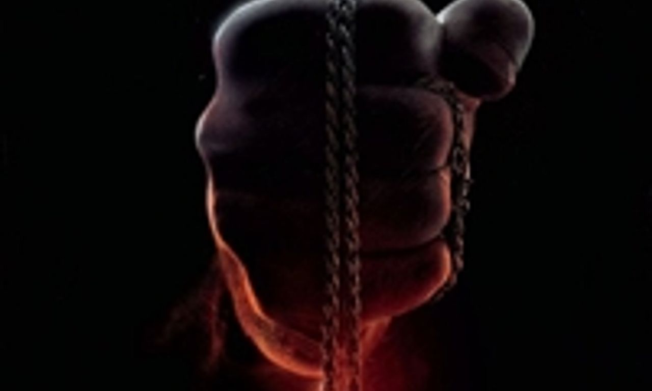 header image for Incarnate