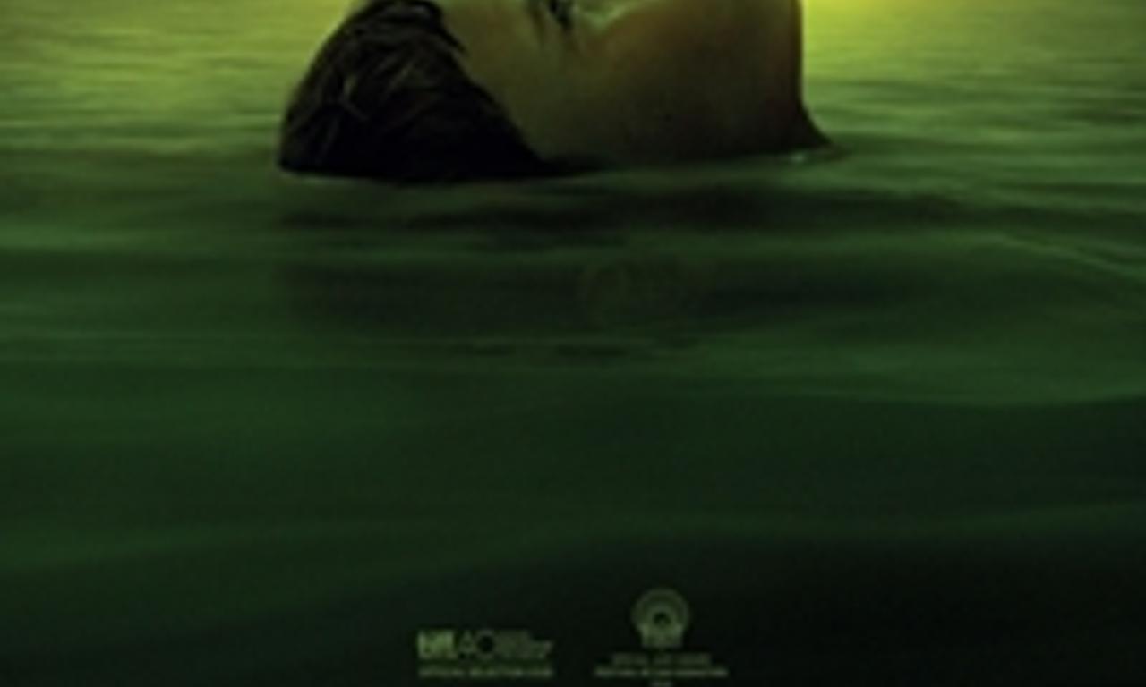 header image for Evolution