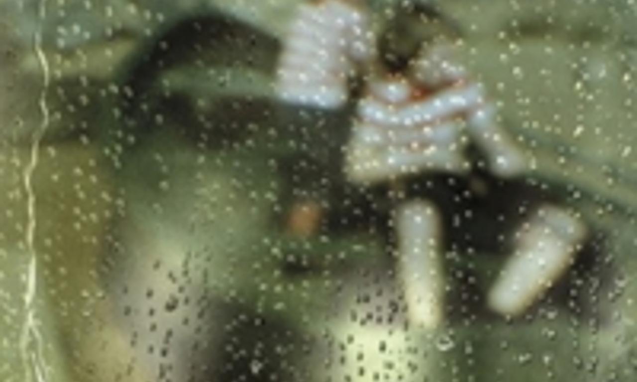 header image for Heart of a Dog