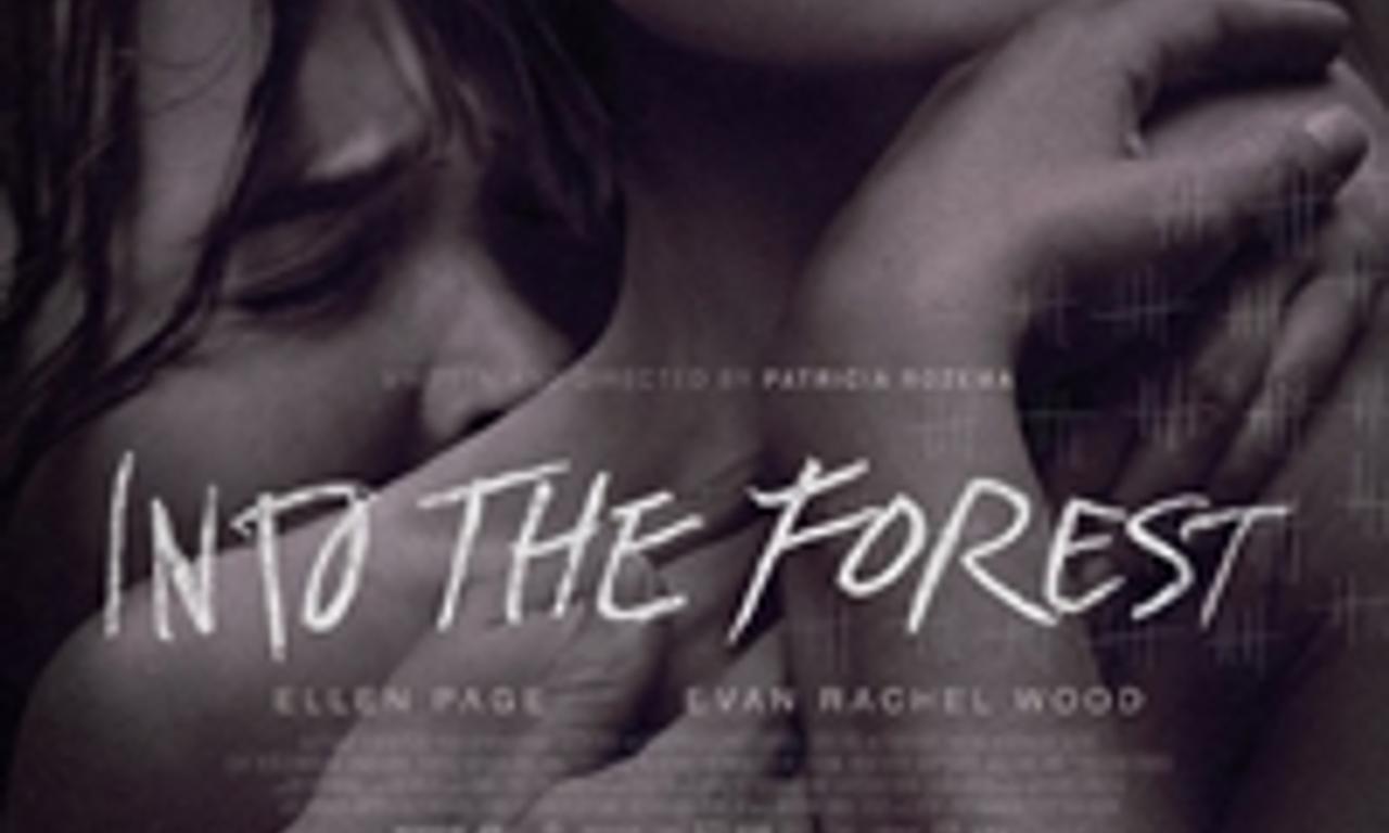 header image for Into the Forest