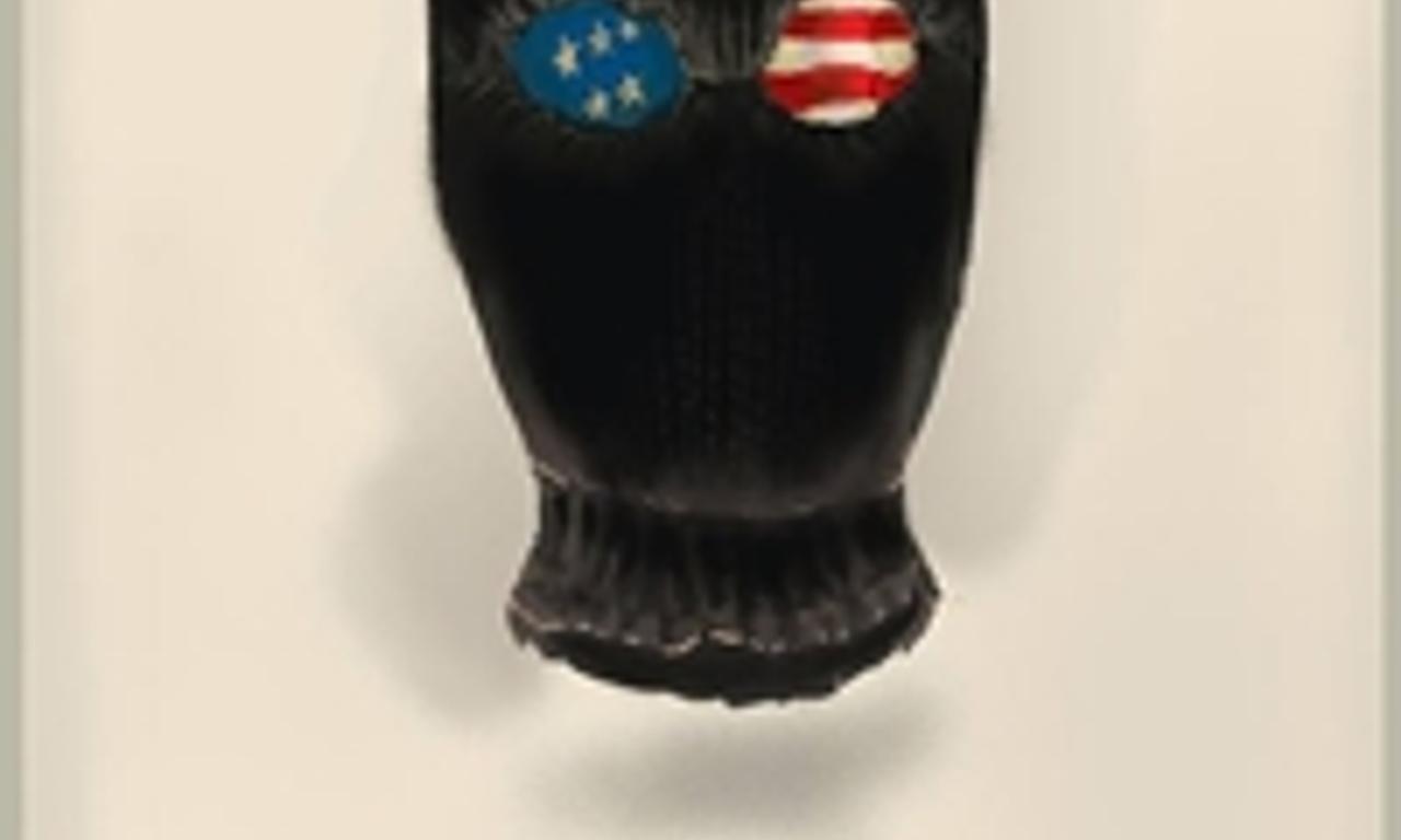 header image for Mi America