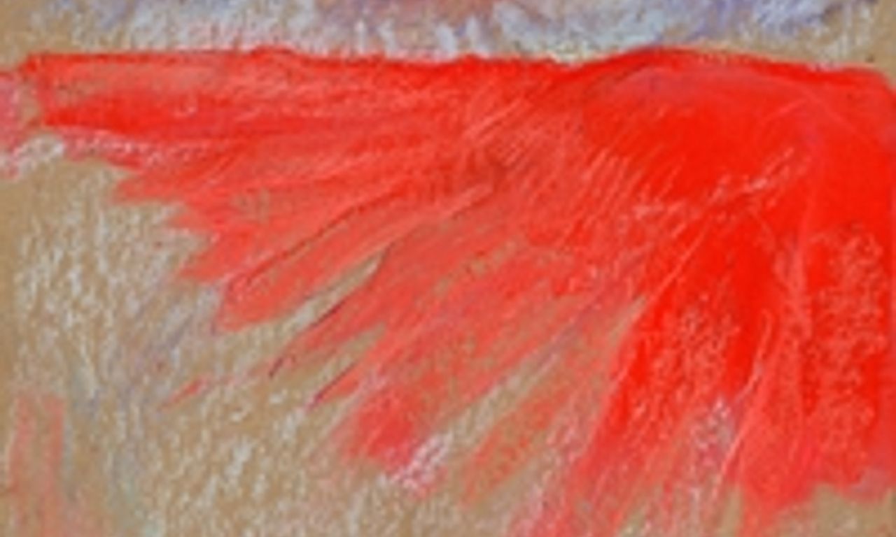 header image for Little Bird