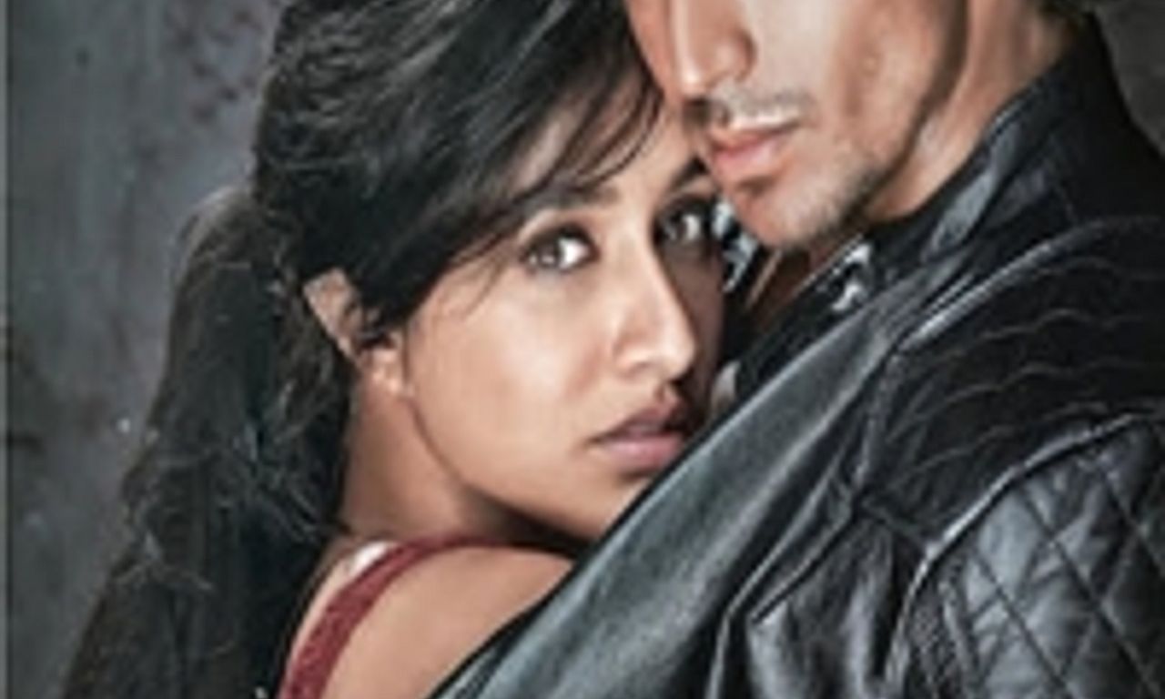 header image for Baaghi