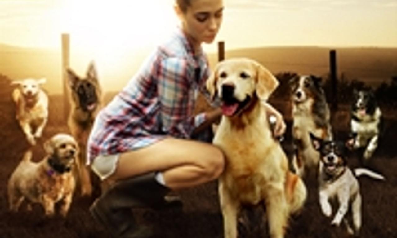 header image for The Dog Lover