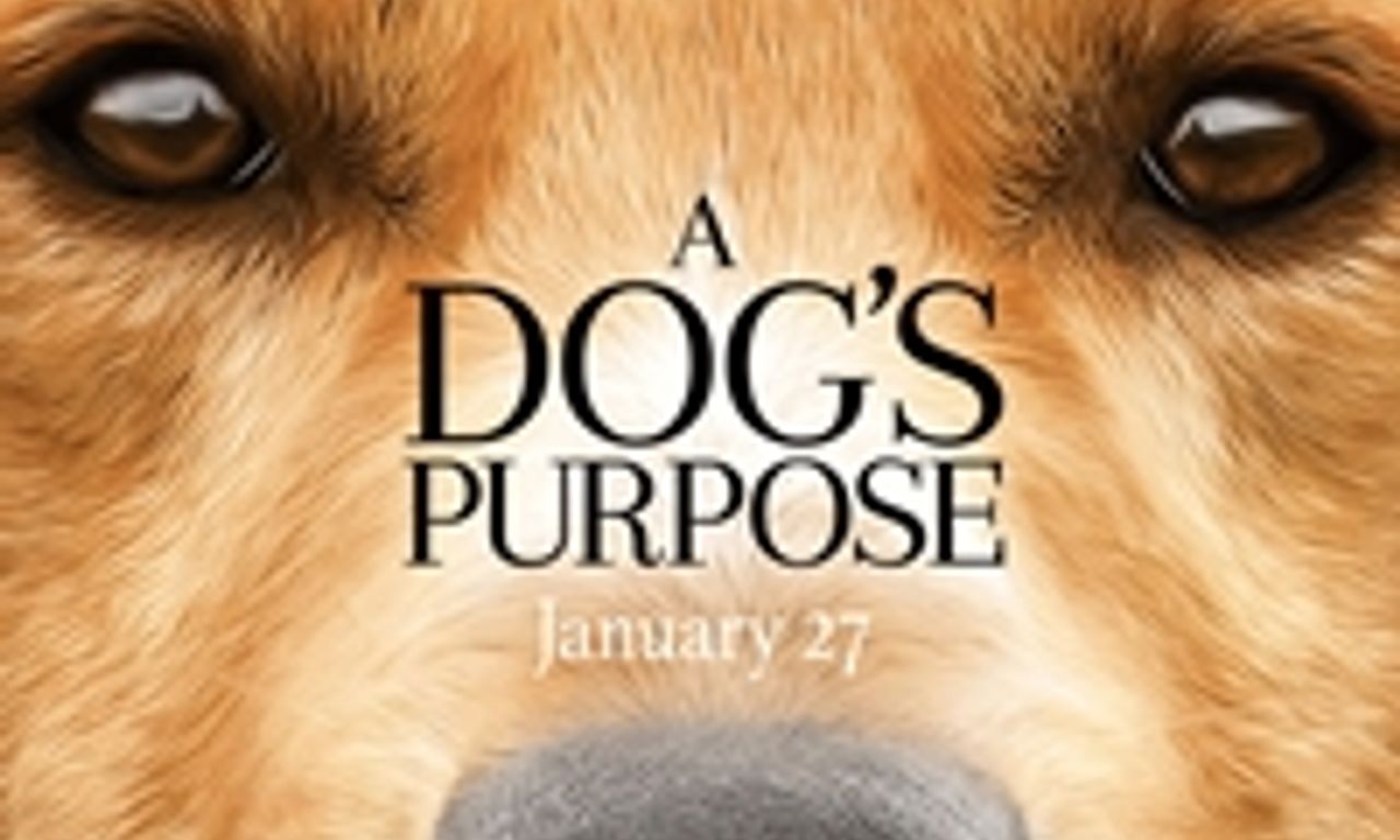 header image for A Dog's Purpose