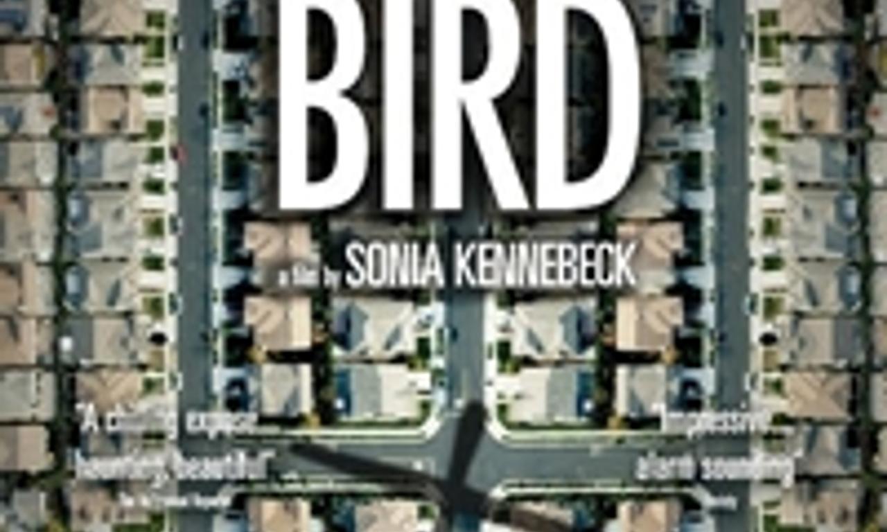 header image for National Bird