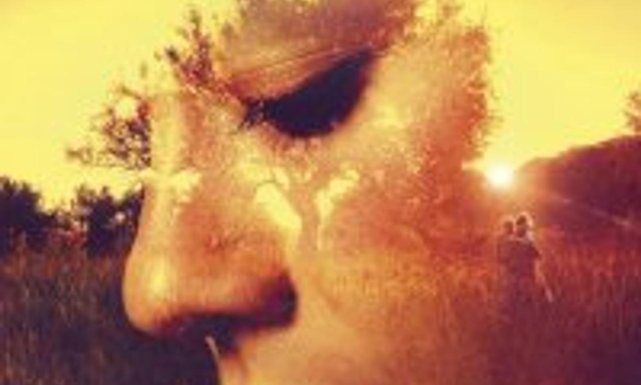 header image for The Olive Tree