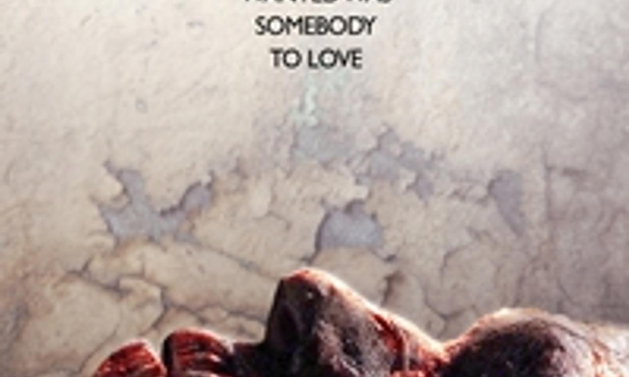 header image for Decay